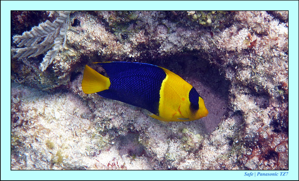 2012 - 07 - Palinton Sanctuary 25